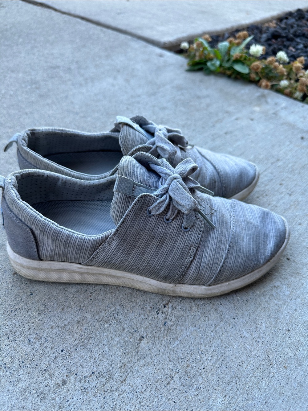 Tom's grey casual sneakers
